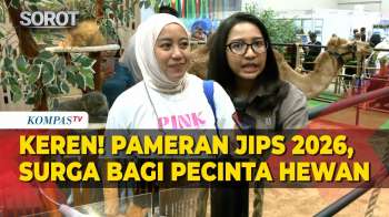 MENARIK! Jakarta International Pet Show 2026 Diserbu Pengunjung Pecinta Hewan dan Promo Besar