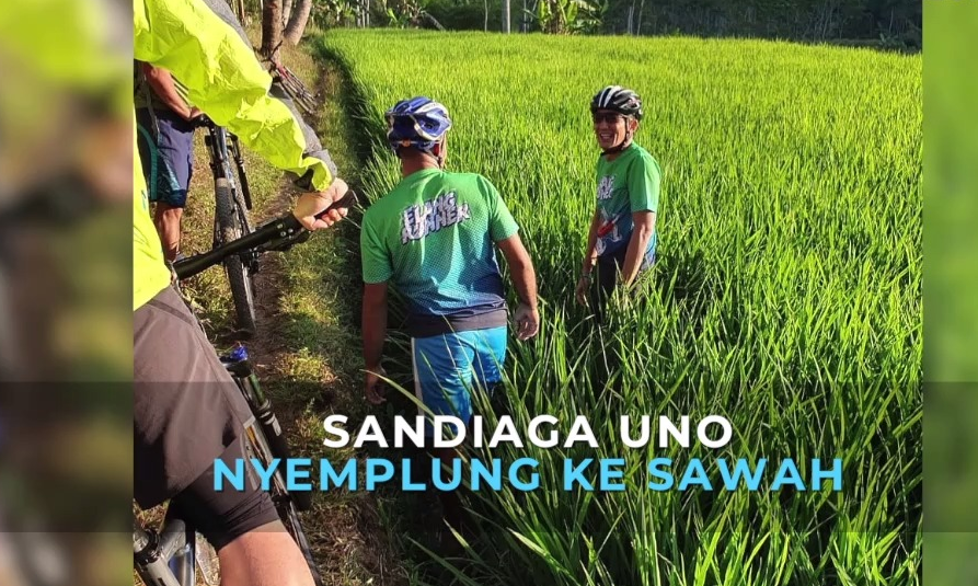 Waduh! Sandiaga Uno Nyemplung ke Sawah - Kompas TV