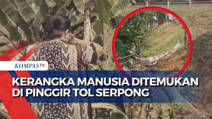 Gegerkan Warga! Kerangka Manusia Ditemukan di Sekitar Tol Rawa Buntu ...