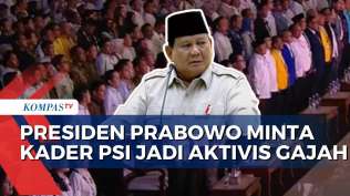 presiden-prabowo-kader-psi-harus-jadi-aktivis-melindungi-gajah
