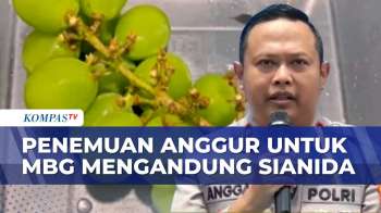 SPPG Polres Sukoharjo Temukan Buah Anggur Untuk MBG Mengandung Sianida | KOMPAS SIANG