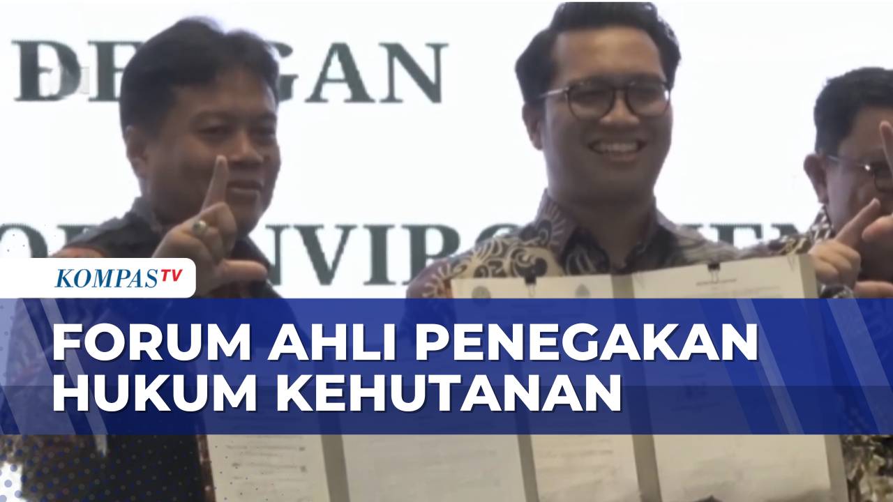 Perkuat Penegakan Hukum Kehutanan, Pemerintah Gelar Forum Ahli di Bali | MA NEWS