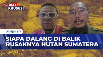 [FULL]Anggota DPR F-Golkar & PBHI soal Keseriusan Pemerintah Usut Pembalakan Liar di Hutan Sumatera