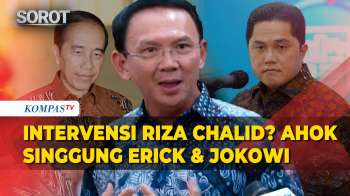 Jawab Ahok Soal Intervensi Riza Chalid: Tanya Erick Dan Jokowi