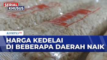 Harga Kedelai Melonjak Di Beberapa Daerah, Pelaku Usaha Terdampak | KOMPAS SIANG