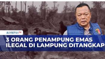 3 Orang Penampung Emas Ilegal Di Lampung Ditangkap | KOMPAS PETANG