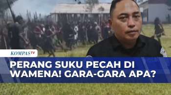 Perang Suku Pecah Di Wamena! Polda Papua: Dipicu Gara-Gara Denda Adat | KOMPAS PETANG