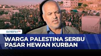 Warga Palestina Serbu Pasar Hewan Kurban Kala  Idul Adha, Daya Beli Melemah Akibat Perang?