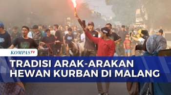 Tradisi Arak-arakan Hewan Kurban Meriahkan Idul Adha Di Malang | KOMPAS PETANG