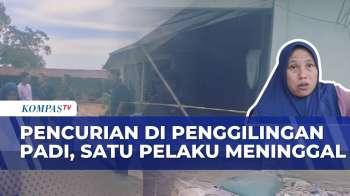 Pencurian Di Penggilingan Padi Subang Dipergoki Pemilik, Satu Pelaku Meninggal Dunia | BORGOL