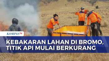BPBD Pakai 'Drone Sprayer' Untuk Padamkan Kebakaran Gunung Bromo, Titik-Titik Api Mulai Berkurang