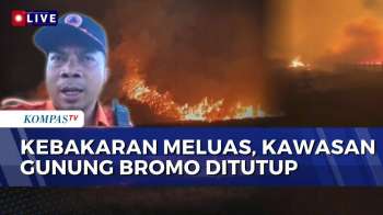 Terbaru! Kebakaran Lahan Meluas Capai 500 Hektar, Kawasan Gunung Bromo Ditutup Sementara