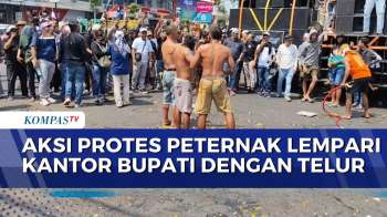 Protes Harga Telur Anjlok, Peternak Di Pati Lempari Kantor Bupati Dengan Telur | JURNAL NUSANTARA