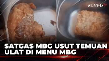 Menu MBG Di SDN Kalimantan Barat Ditemukan Ulat, Ketua Satgas Selidiki Penyebabnya | KOMPAS SIANG
