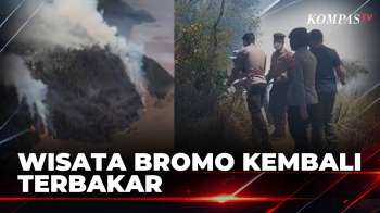 Api Di Wisata Bromo Kembali Menyala, Petugas Berjibaku Padamkan | BERITA UTAMA