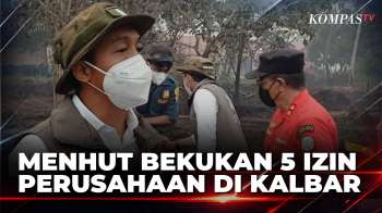 Menhut Beri Sanksi Ke 5 Perusahaan Di Kalbar Terkait Karhutla | BERITA UTAMA