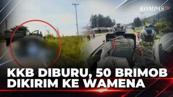 KKB Diburu Usai Penembakan 3 ASN Jayawijaya, 50 Brimob Dikirim Ke Wamena | SAPA PAGI