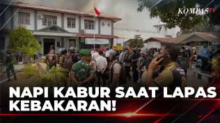 napi-manfaatkan-situasi-untuk-kabur-usai-lapas-merauke-terbakar-berita-utama