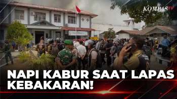 Napi Manfaatkan Situasi untuk Kabur usai Lapas Merauke Terbakar | BERITA UTAMA