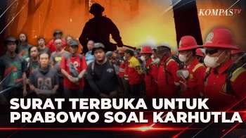 Surat Terbuka Untuk Prabowo, Relawan Kewalahan Padamkan Karhutla Di Tanjung Puting | KOMPAS PETANG