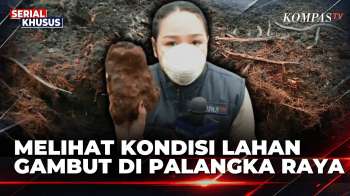 [LIVE] Jurnalis KompasTV Tunjukkan Lahan Gambut Yang Terbakar Di Palangka Raya | KOMPAS PETANG