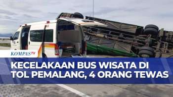 Kecelakaan Maut Di Tol Pemalang, Bus Pariwisata Terguling Dan Tewaskan 4 Orang | BERUT