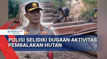 Polisi Selidiki Dugaan Aktivitas Pembalakan Hutan