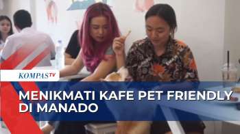 Paws Bay Tawarkan One Stop Solution Bagi Pecinta Anabul di Manado!