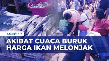Harga Ikan Di Ambon Melonjak, Tembus Dua Kali Lipat Akibat Cuaca Buruk | IU