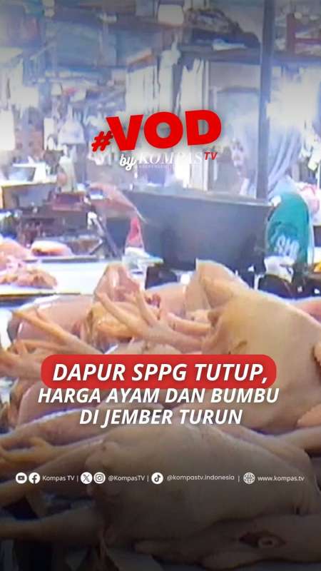 DAPUR SPPG TUTUP SEMENTARA, HARGA AYAM DAN BUMBU DAPUR DI JEMBER TURUN