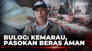 Musim Kemarau, Dirut Bulog Cek Stok dan Distribusi Beras Premium di Jawa Tengah | KOMPAS SIANG