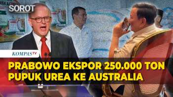 Telepon Albanese, Prabowo Siap Ekspor 250.000 Ton Pupuk Urea Ke Australia