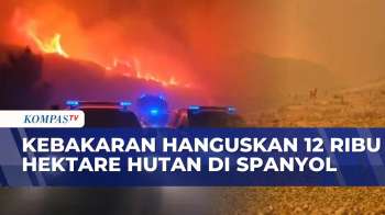 Di Tengah Euforia Final Piala Dunia, Kebakaran Hutan Paksa Lebih Dari 1.100 Warga Spanyol Dievakuasi