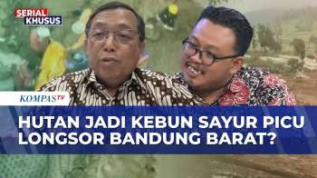 Hutan Jadi Kebun Sayur Picu Longsor Bandung Barat, WALHI Sindir Pemerintah, Ini Respon DPR