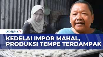 Perajin Tempe Tertekan, Harga Kedelai Tembus Rp11.300 Per Kilogram | SAPA SIANG