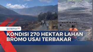 begini-kondisi-bukit-teletubbies-padang-sabana-dan-hamparan-edelweis-usai-kebakaran-bromo