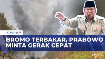 Bromo Terbakar Lagi, Prabowo Minta Pemadaman Dipercepat, Wisata Ditutup | SAPA MALAM