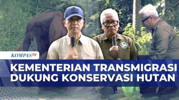 Kementerian Transmigrasi Dukung BOS Foundation Dalam Upaya Pelestarian Hutan Samboja Di Kaltim | JMP