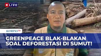 Blak-Blakan! Greenpeace Ungkap Fakta Di Balik Kayu Gelondongan Saat Banjir Terjang Sumut