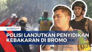 meski-kebakaran-di-gunung-bromo-sudah-padam-polisi-tetap-lanjutkan-penyidikan
