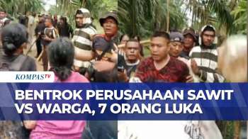 Konflik Lahan Picu Bentrok Perusahaan Sawit Vs Warga Di Riau, 7 Orang Luka-Luka |KOMPAS SIANG