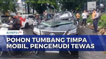 Pohon Tumpang Timpa Mobil, Pengendara Tewas Di Pondok Indah | SAPA PAGI