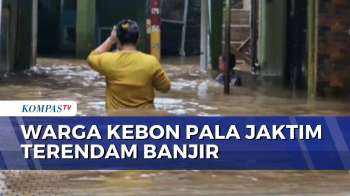 Kali Ciliwung Meluap, Banjir 1 Meter Lebih Rendam Kebon Pala Jakarta Timur| KOMPAS SIANG