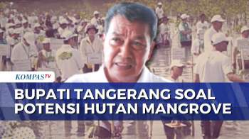 Bupati Tangerang Manfaatkan Hutan Mangrove Ketapang Untuk Tingkatkan Ekonomi Masyarakat | SAPA SIANG