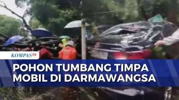 Hujan Deras, Pohon Tumpang Timpa 4 Mobil Di Darmawangsa Jaksel | KOMPAS PETANG