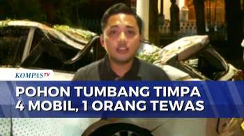 Ringsek! Begini Penampakan Mobil Tertimpa Pohon Tumbang di Dharmawangsa Jaksel | KOMPAS MALAM