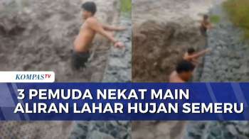 Viral! Aksi Berbahaya 3 Pemuda Bermain Di Banjir Lahar Hujan Gunung Semeru | BERUT