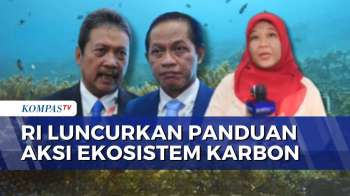 COP30 Di Brasil: Indonesia Luncurkan Peta Jalan Konservasi Ekosistem Karbon Biru | KOMPAS PAGI