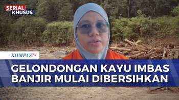 Tumpukan Kayu Gelondongan Di Pantai Parkit Padang Mulai Dibersihkan | SAPA MALAM