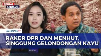 Menhut Dan Polri Bentuk Tim Investigasi Usut Kayu Gelondongan Di Lokasi Banjir Sumatera